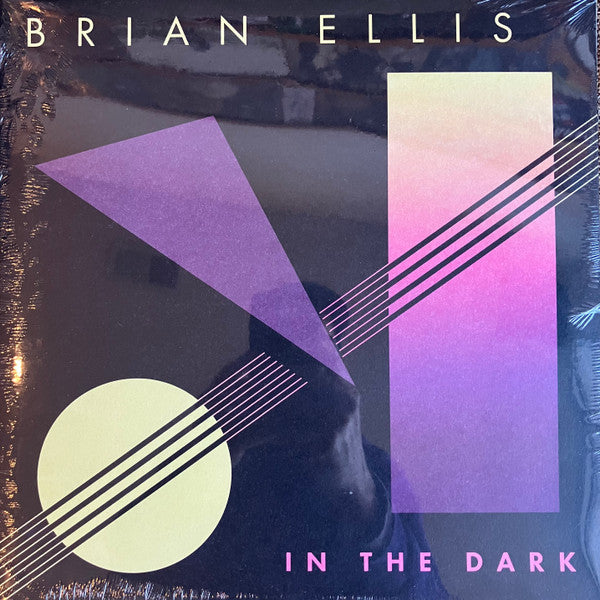 In The Dark (VINYL) |