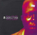 DIVINE STYLER - Directrix Vinyl Record