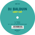 Lost Cat Vinyl Record