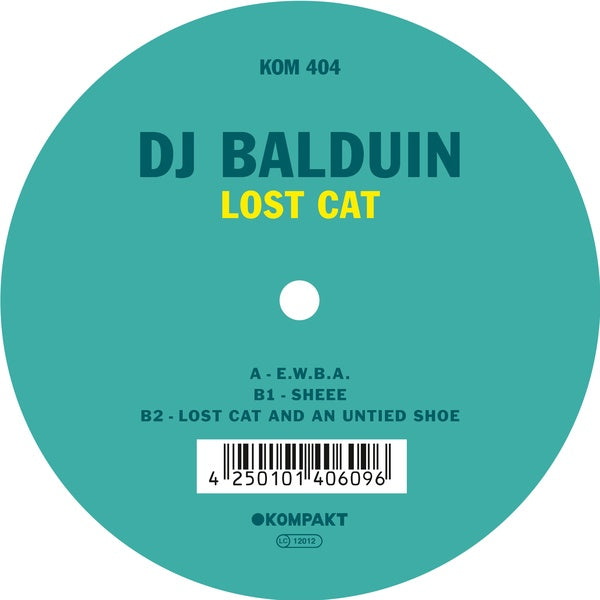 Lost Cat |