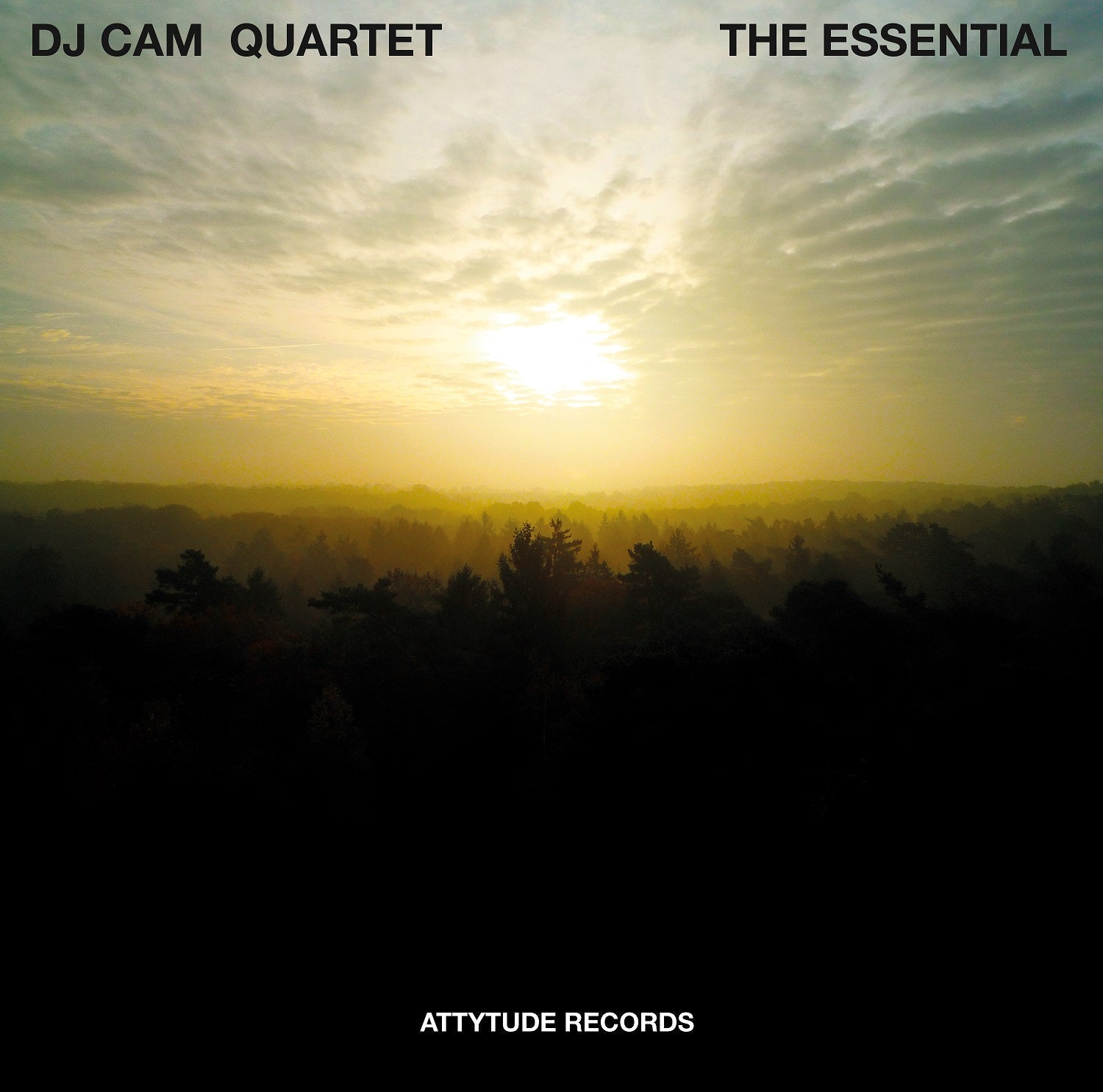 The Essential Vinyl Record