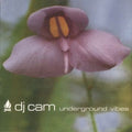Underground Vibes Vinyl Record