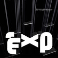 DJ SHUFFLEMASTER - EXP Vinyl Record