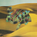 Django Django Music CD