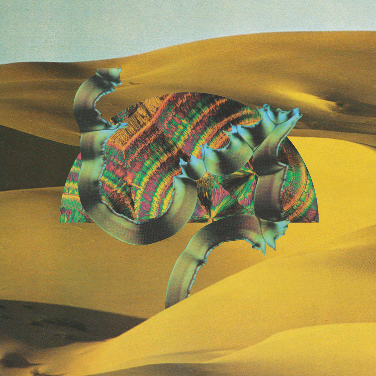Django Django Music CD