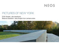 Pictures of New York Music CD