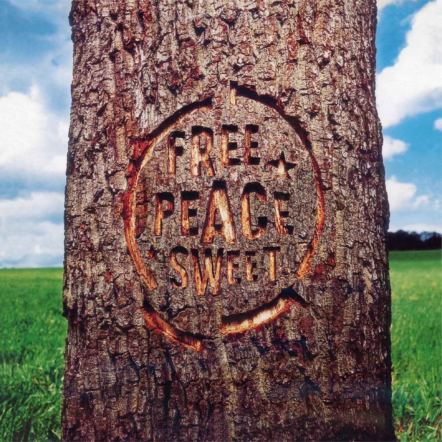 Dodgy - Free Peace Sweet [2LP] Vinyl Record