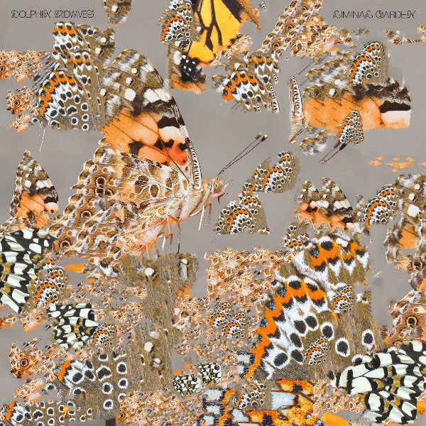 Liminal Garden Vinyl Record