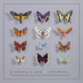 Lepidoptera Music CD