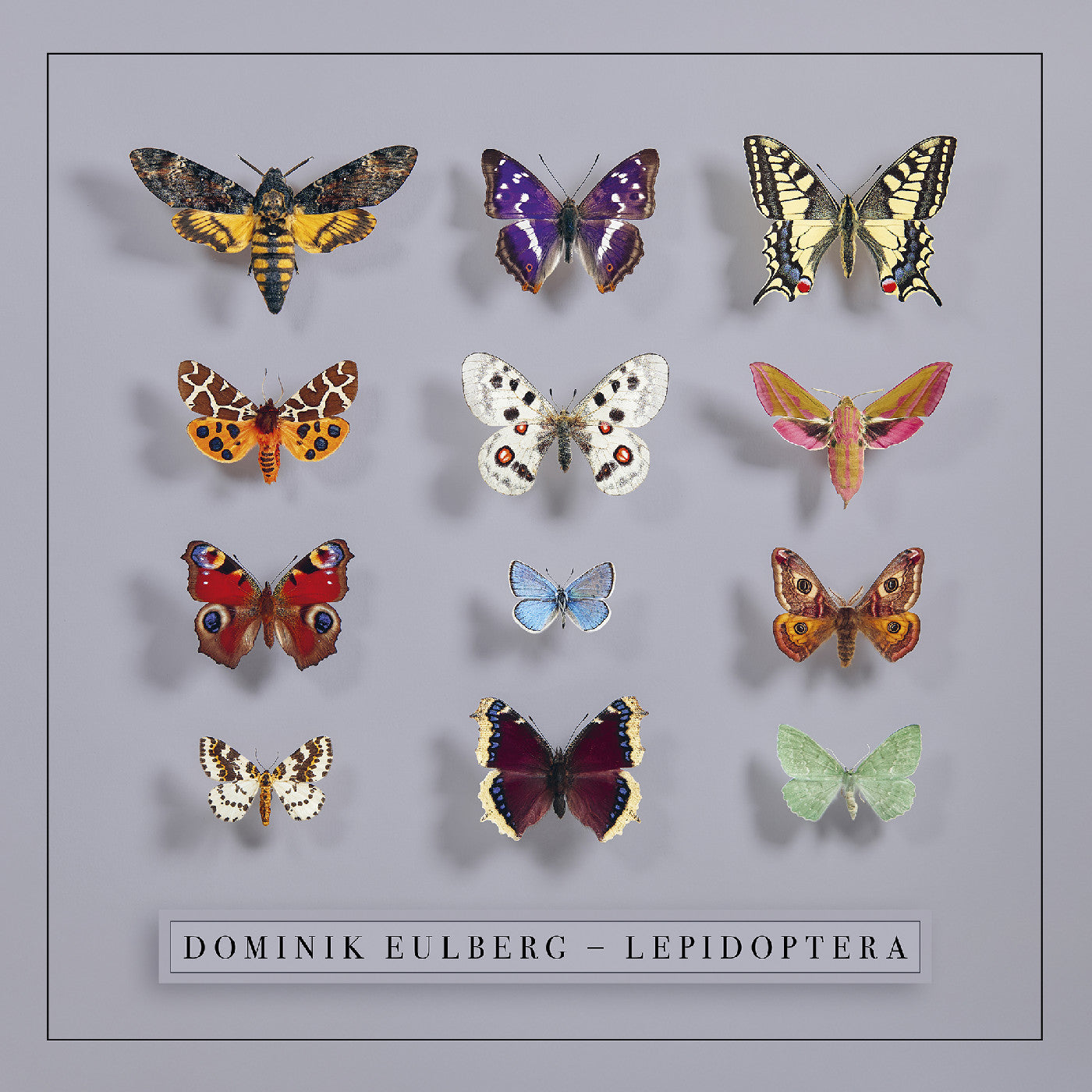 Lepidoptera Music CD