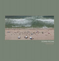 Transient Music CD