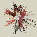 Consciousology Vinyl Record