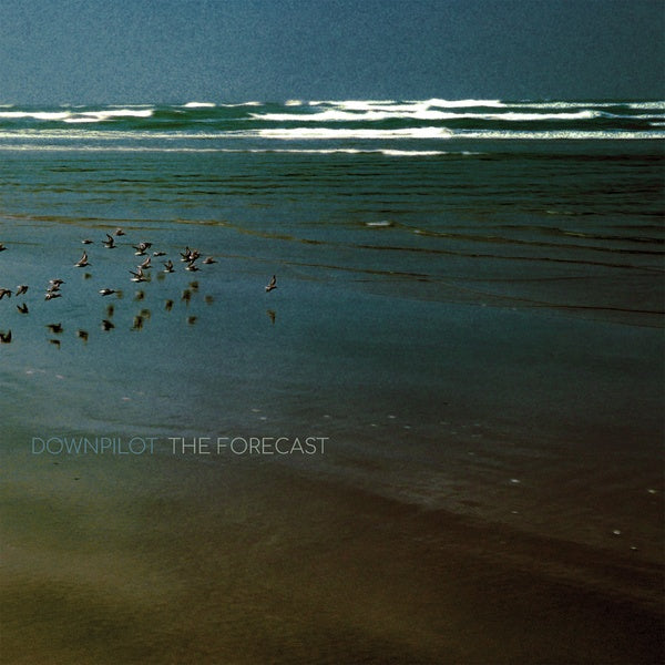 The Forecast Vinyl Record