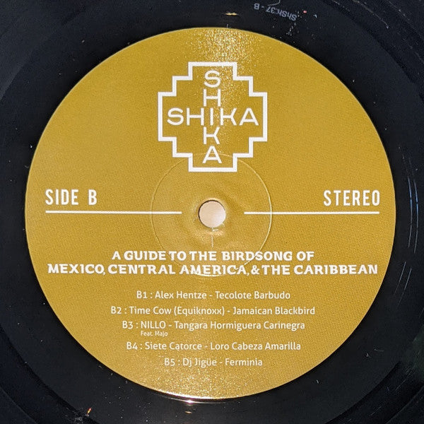 A Guide To The Birdsong Of Mexico, Central America, & The Caribbean | Mint (M) Mint (M)
