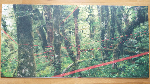 Everything Ecstatic (2x VINYL) | Mint (M) Mint (M)