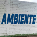 Jex Opolis - AMBIENTE (VINYL) | Mint (M) Mint (M)