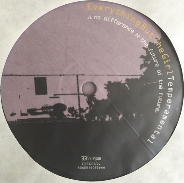 Everything But The Girl - Temperamental | Mint (M) Mint (M)