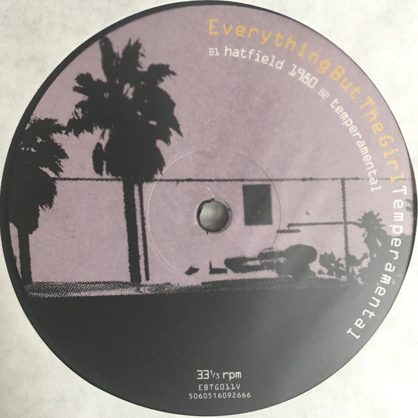Everything But The Girl - Temperamental | Mint (M) Mint (M)