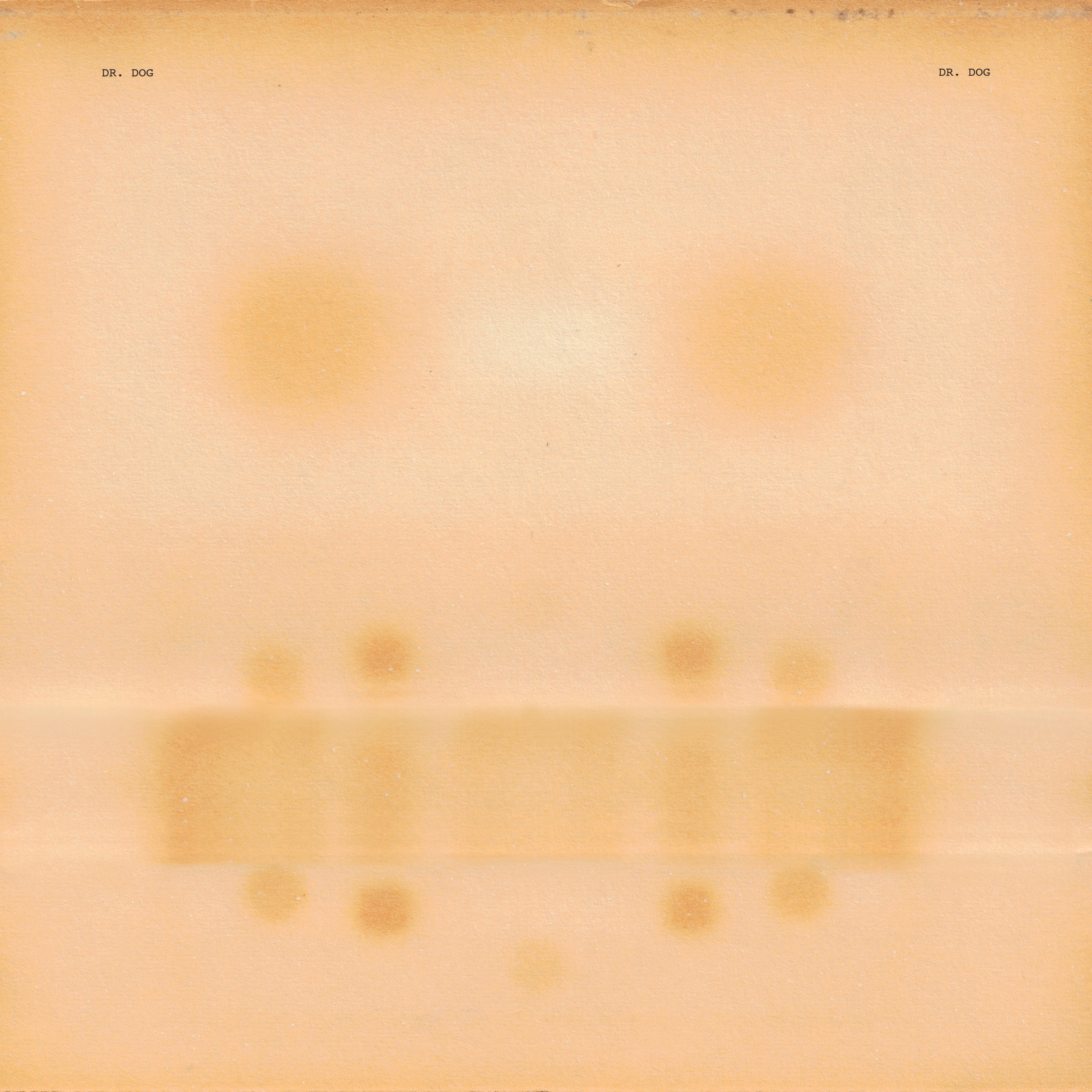 Dr. Dog - Dr. Dog Vinyl Record