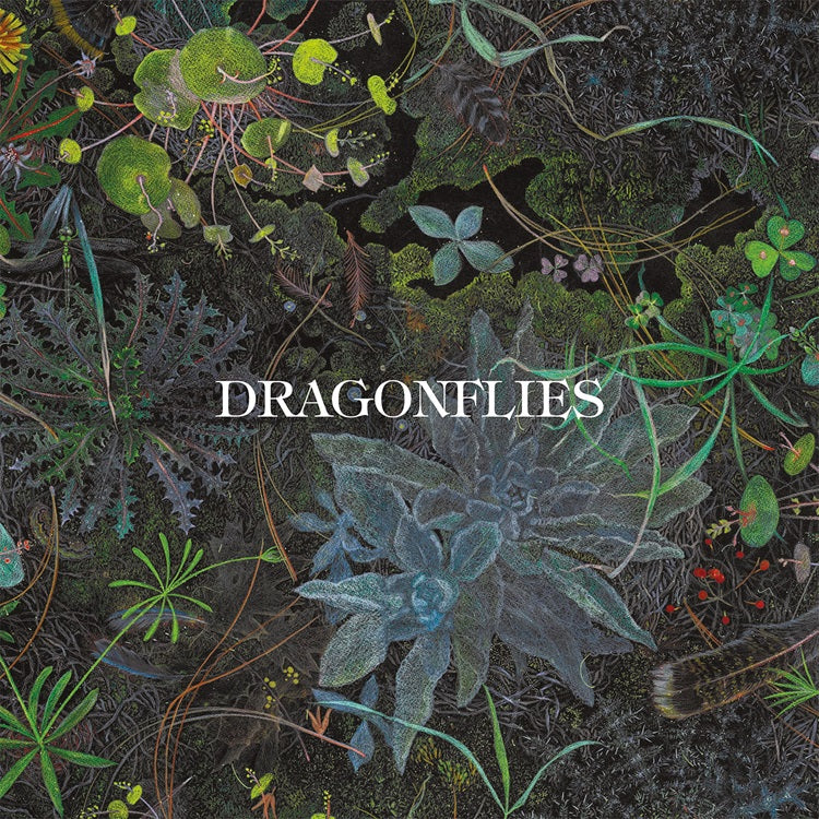 PRE-ORDER Dragonflies - Dragonflies (Indie Exclusive) [Color LP] [Vinyl] Vinyl Record