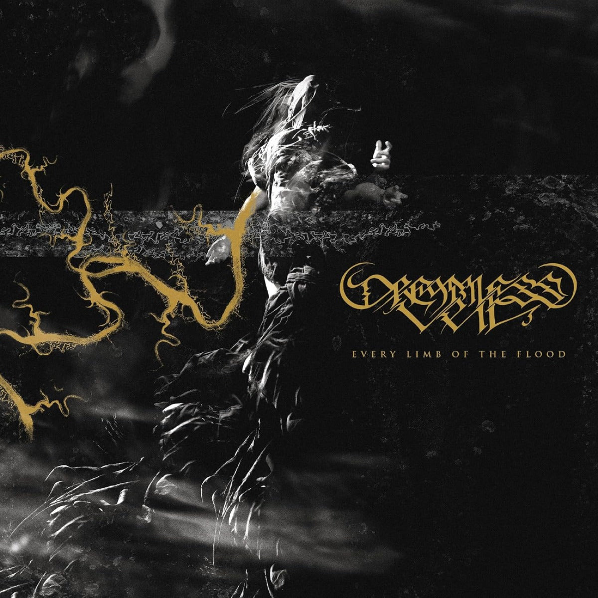 Every Limb Of The Flood Music CD