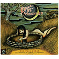 The Fine Print [A Collection of Oddities And Rarities 2003-2008] Music CD