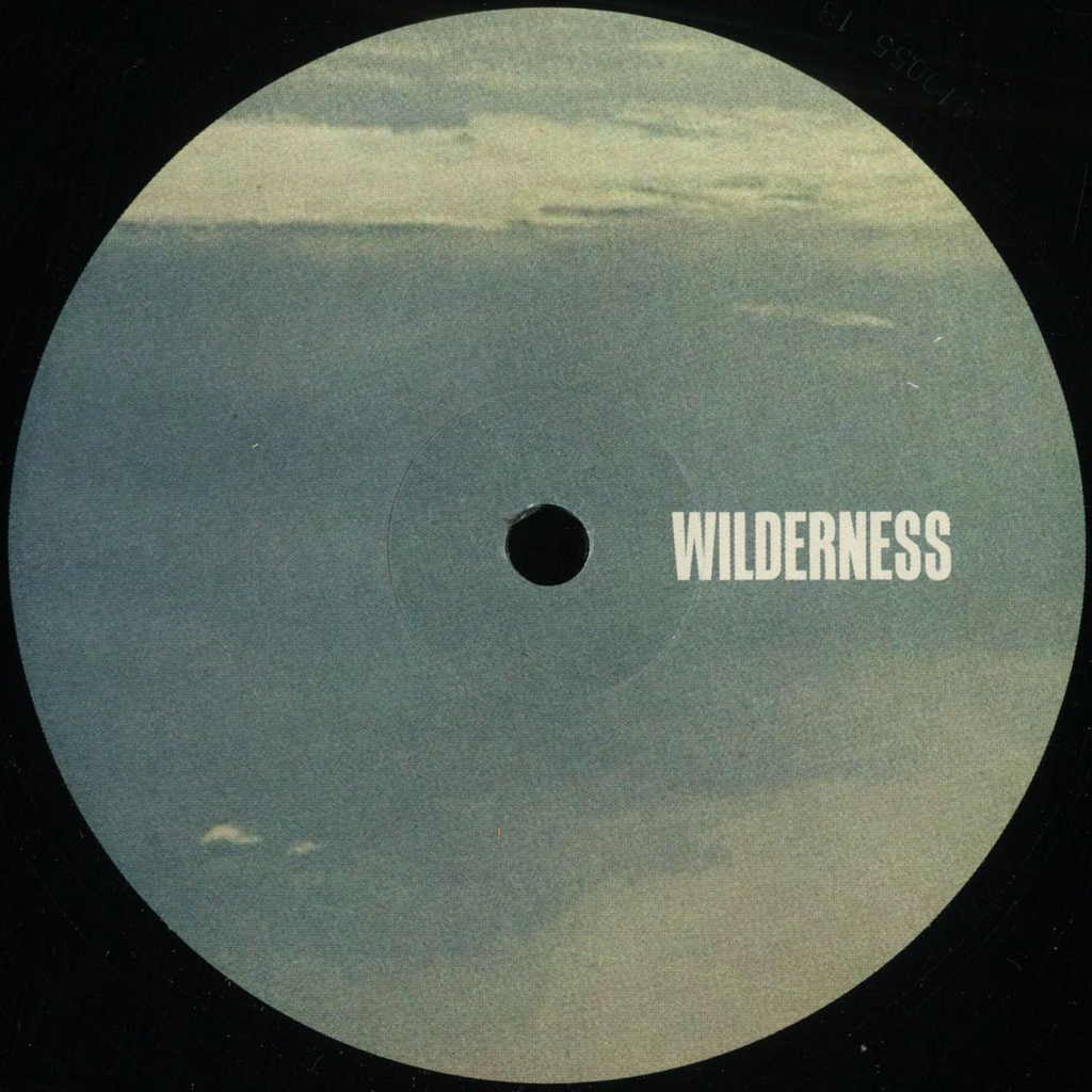 Peeb - Endless Skies EP (VINYL) | Mint (M) Mint (M)
