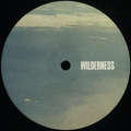 Peeb - Endless Skies EP (VINYL) | Mint (M) Mint (M)