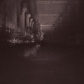 DUB TAYLOR - Caves & Cages Vinyl Record