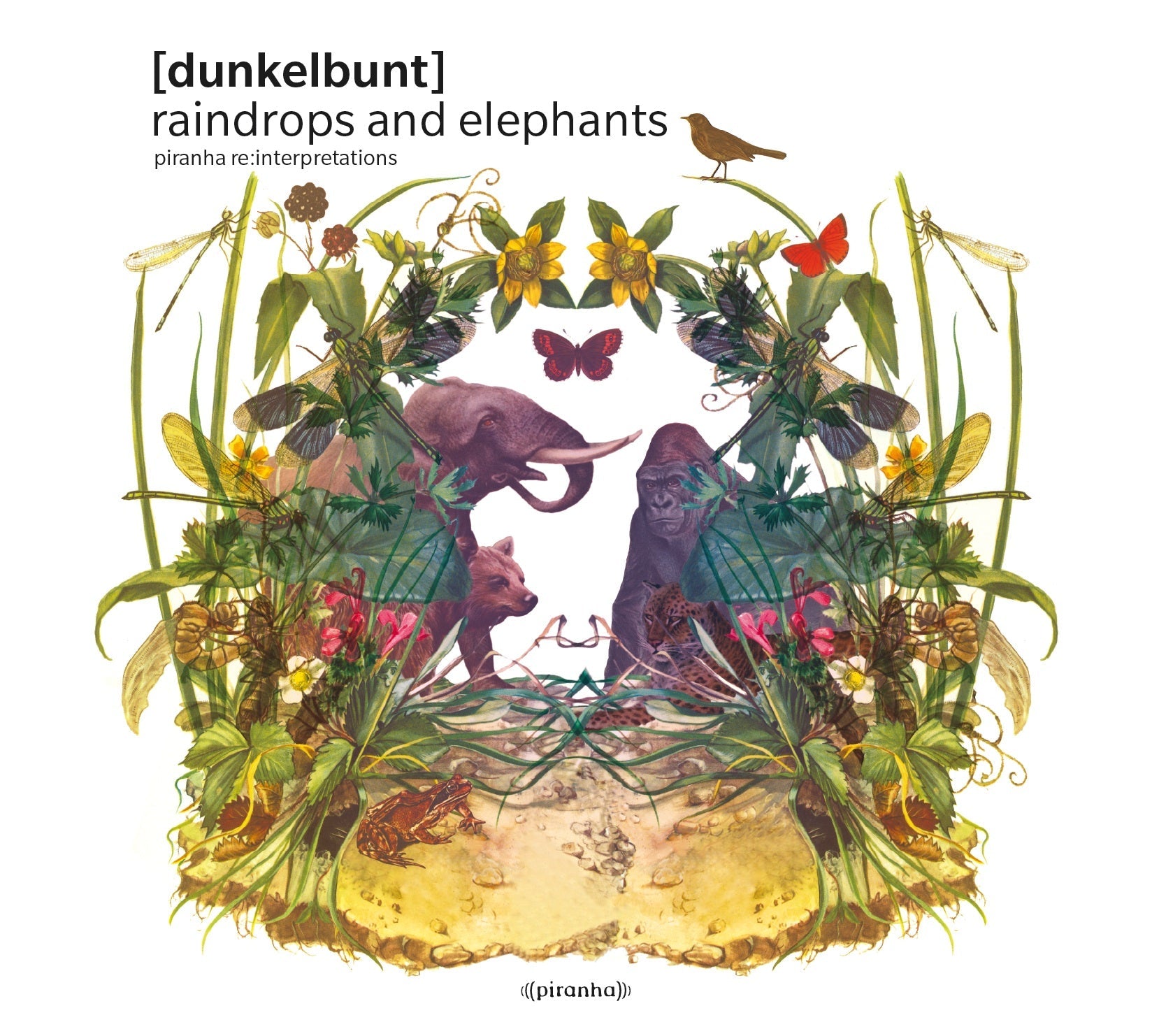 Raindrops and Elephants Vinyl Record