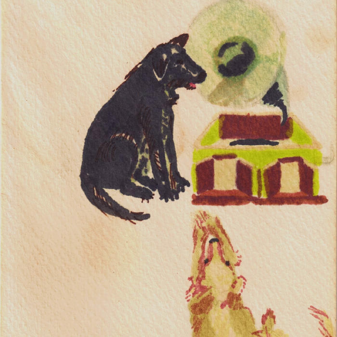 Lucky Dog Vinyl Record