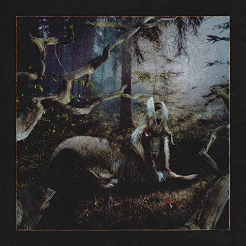 Feet Of Clay (VINYL) | Mint (M) Mint (M)