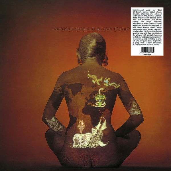Mercator Projected Vinyl Record