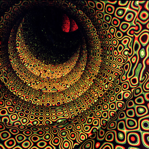 Magic Seed Music CD