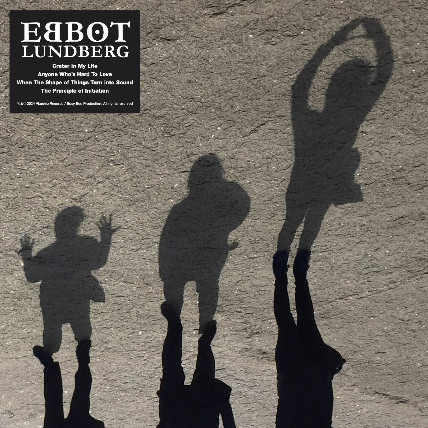 Ebbot Lundberg When The Shape Of Things Turn In to Sound Vinyl Record