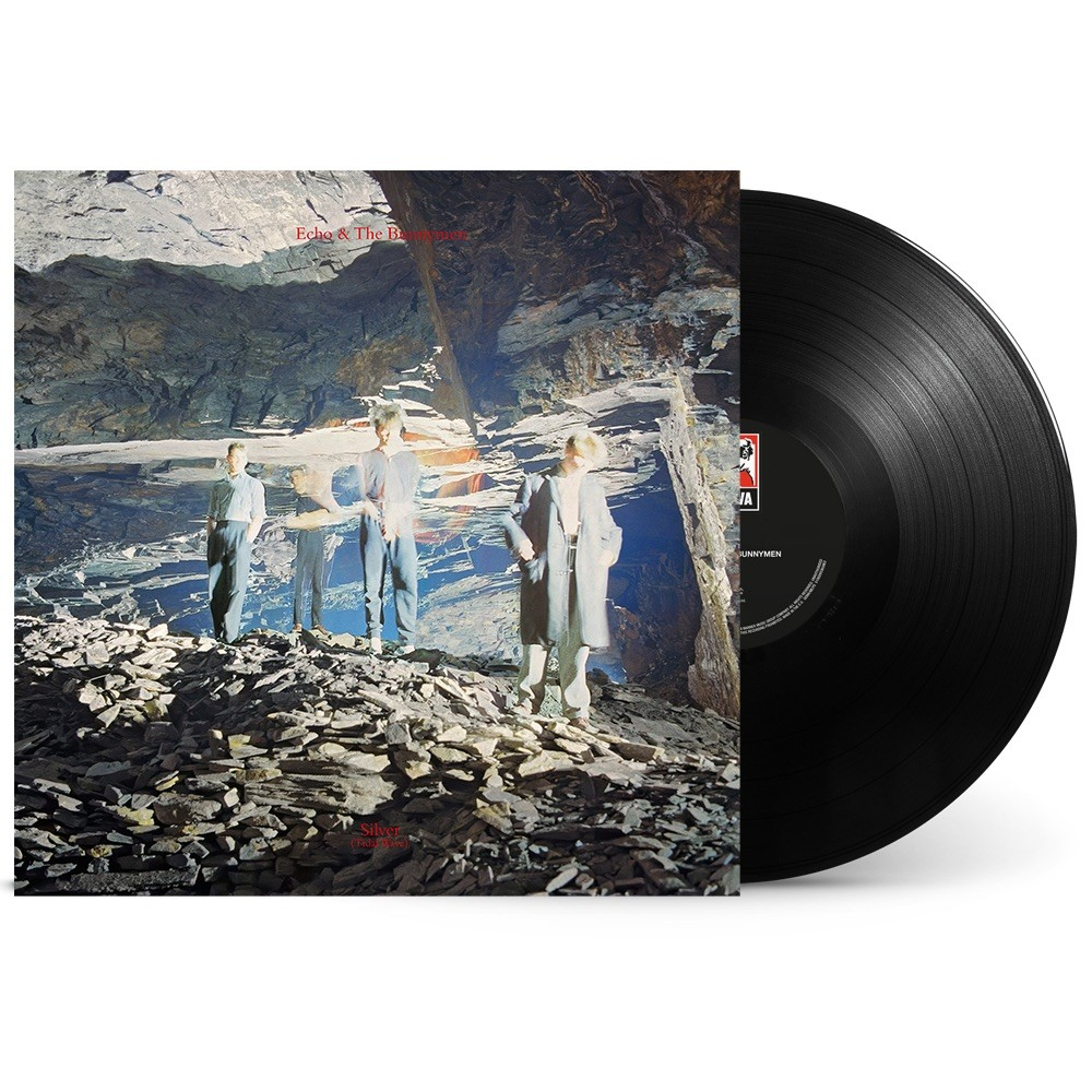 Silver: 40th Anniversary Edition (Black Friday 2024 Exclusive) Vinyl Record