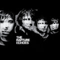 The Rapture Echoes Vinyl Record
