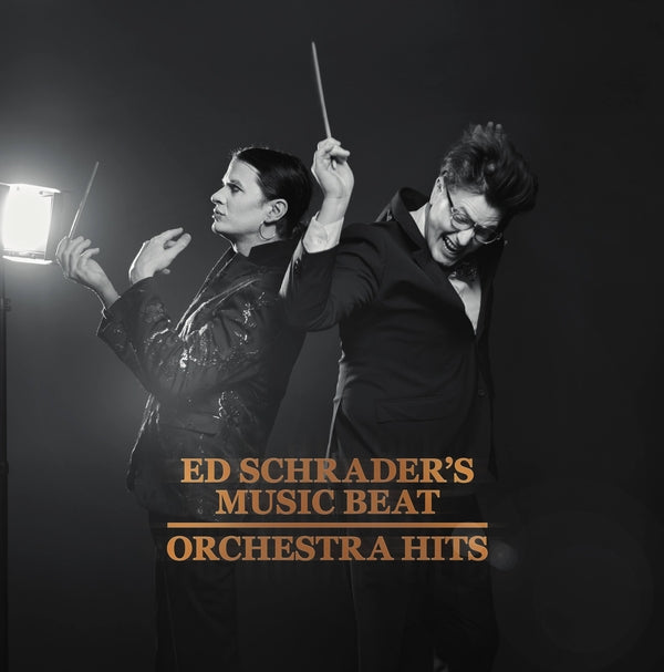 Orchestra Hits Vinyl Record