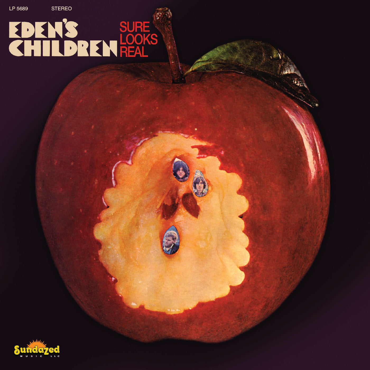 Sure Looks Real (Maroon Vinyl) Vinyl Record