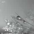 Phlox Vinyl Record