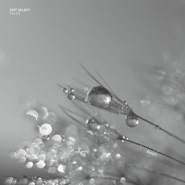 Phlox Vinyl Record