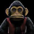 The Monkey (Lenticular Cover Housed Inside A Limited Slipcase) Vinyl Record