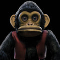 The Monkey Vinyl Record