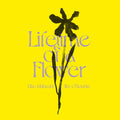 EIKO ISHIBASHI/JIM O'ROURKE - Lifetime of a Flower Vinyl Record