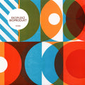 Bioprodukt Vinyl Record
