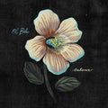 Balance (Cd Reissue) Music CD