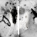 Certain Creatures - Vipassana |