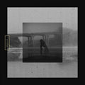 Braille - Mute Swan |