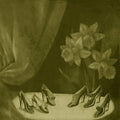 Cohen, Alice - Into The Grey Salons |