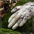 Antwood - Virtuous.scr |